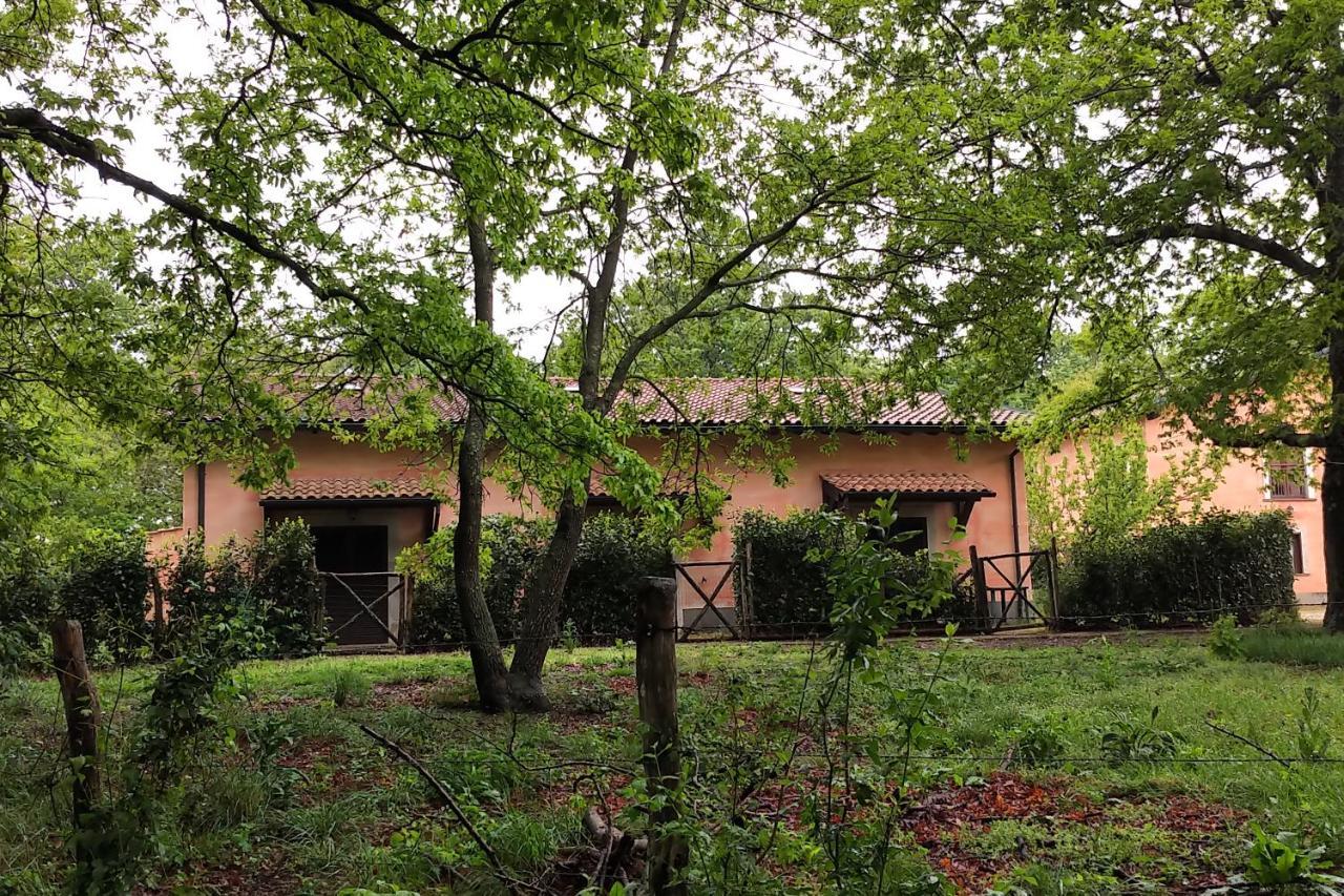 Agriturismo Tenuta Monte La Guardia Castel Giuliano Exterior foto